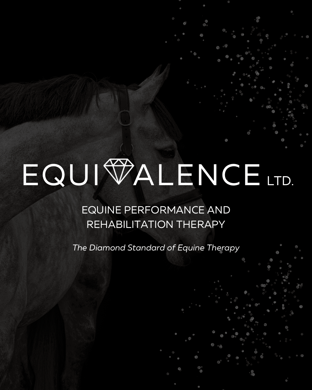 Sarah Morris - Equivalence Ltd - Equine Manual Therapy UK