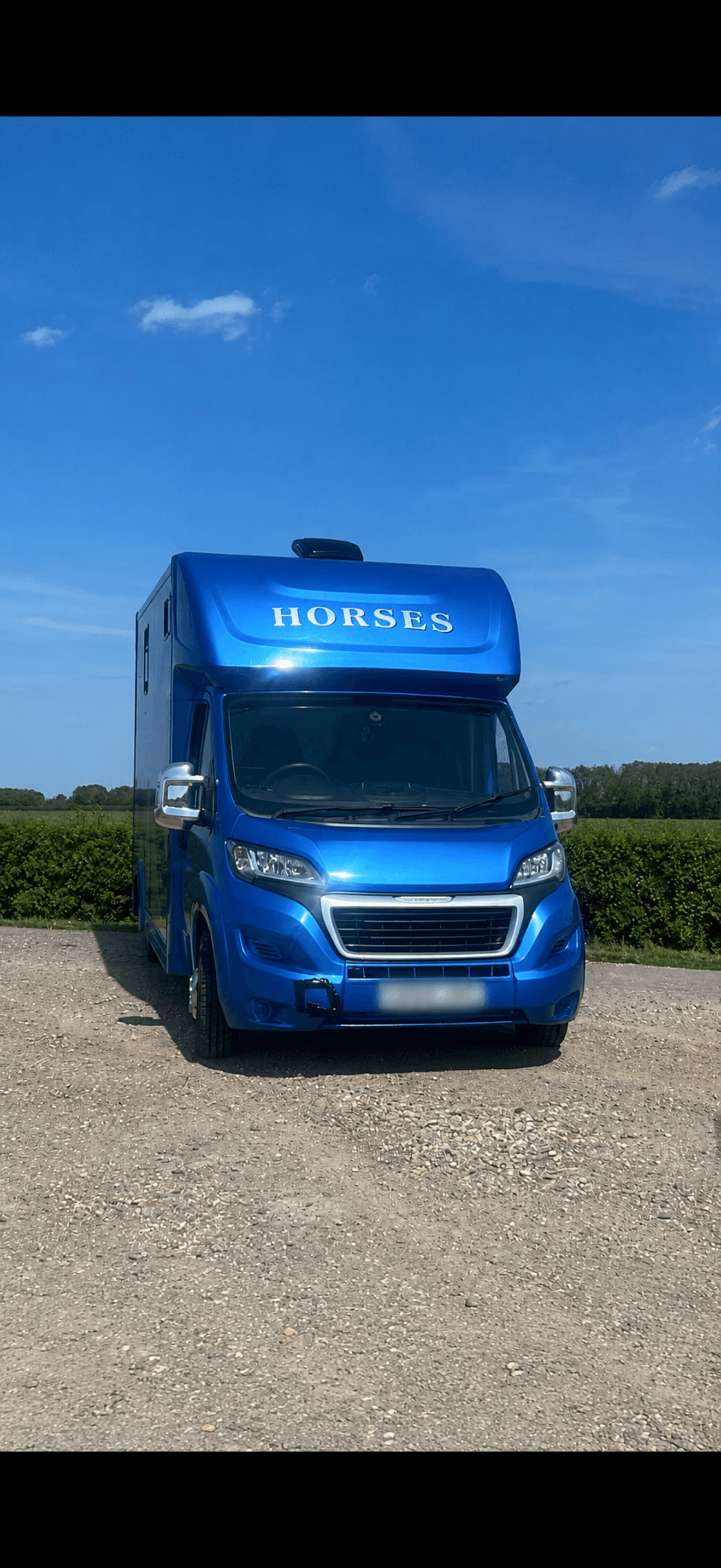 Tailored Equine Transport & Services