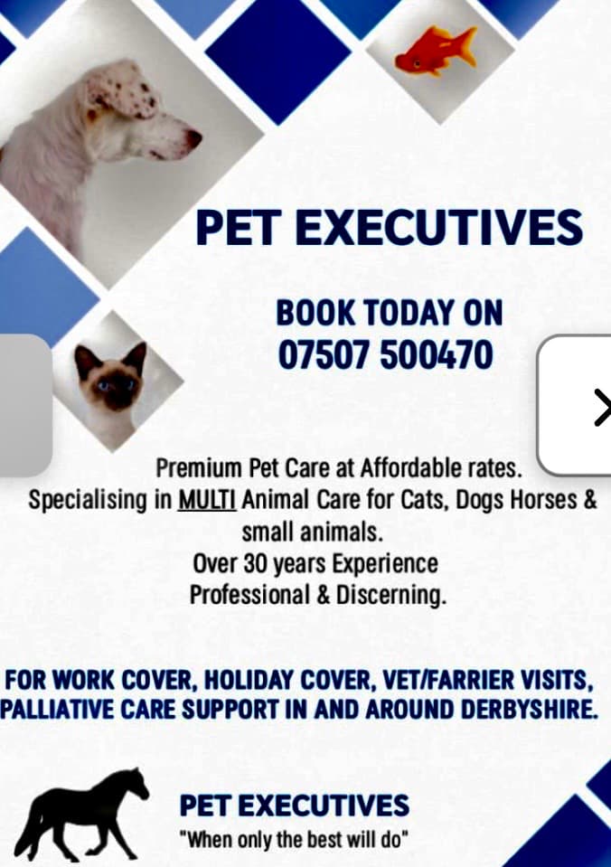 Pet Executives