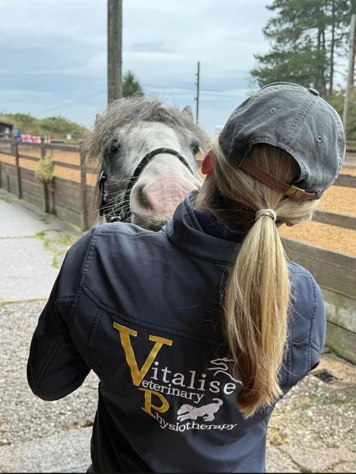 Vitalise Veterinary Physiotherapy
