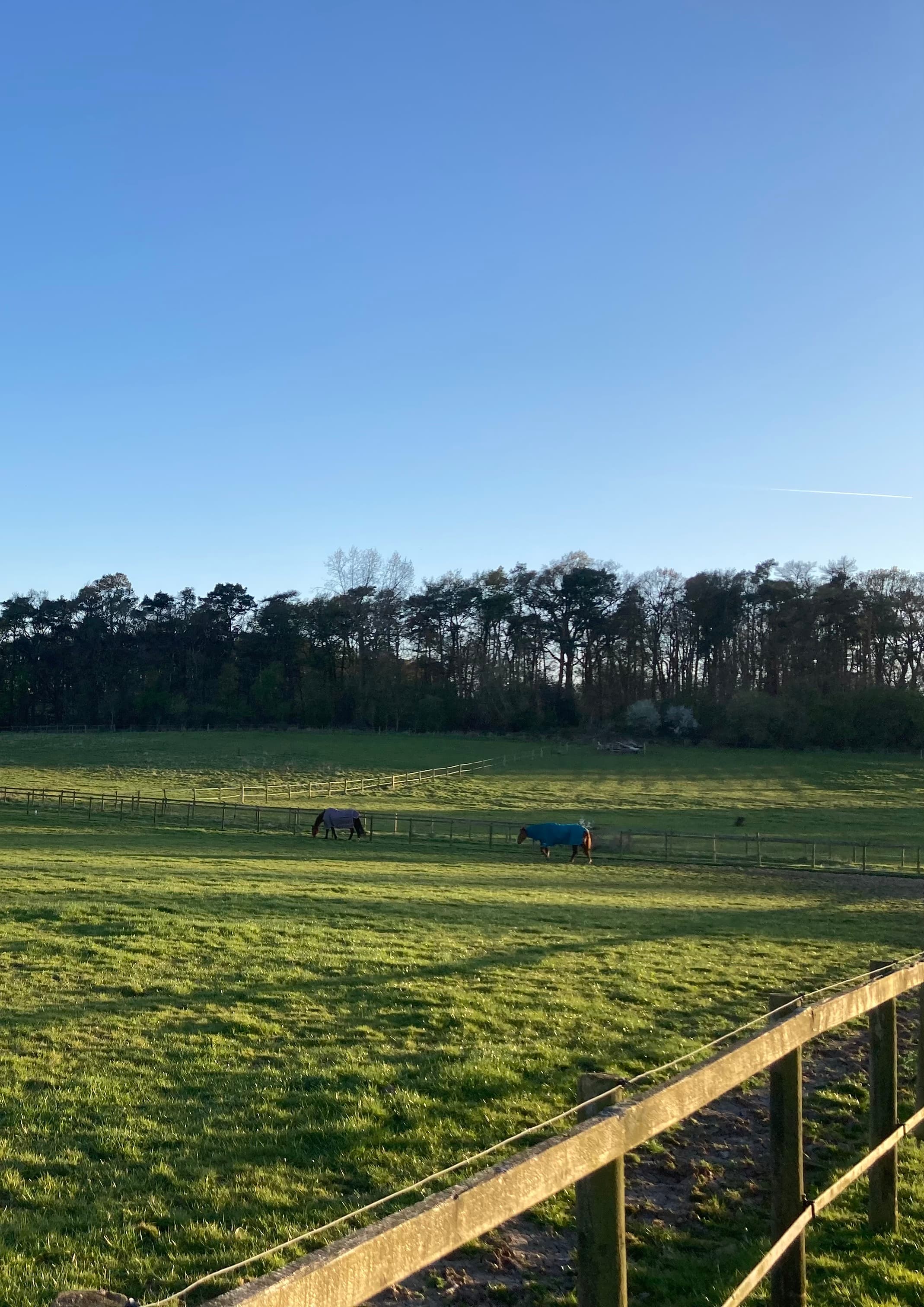 Skilts Farm Stables