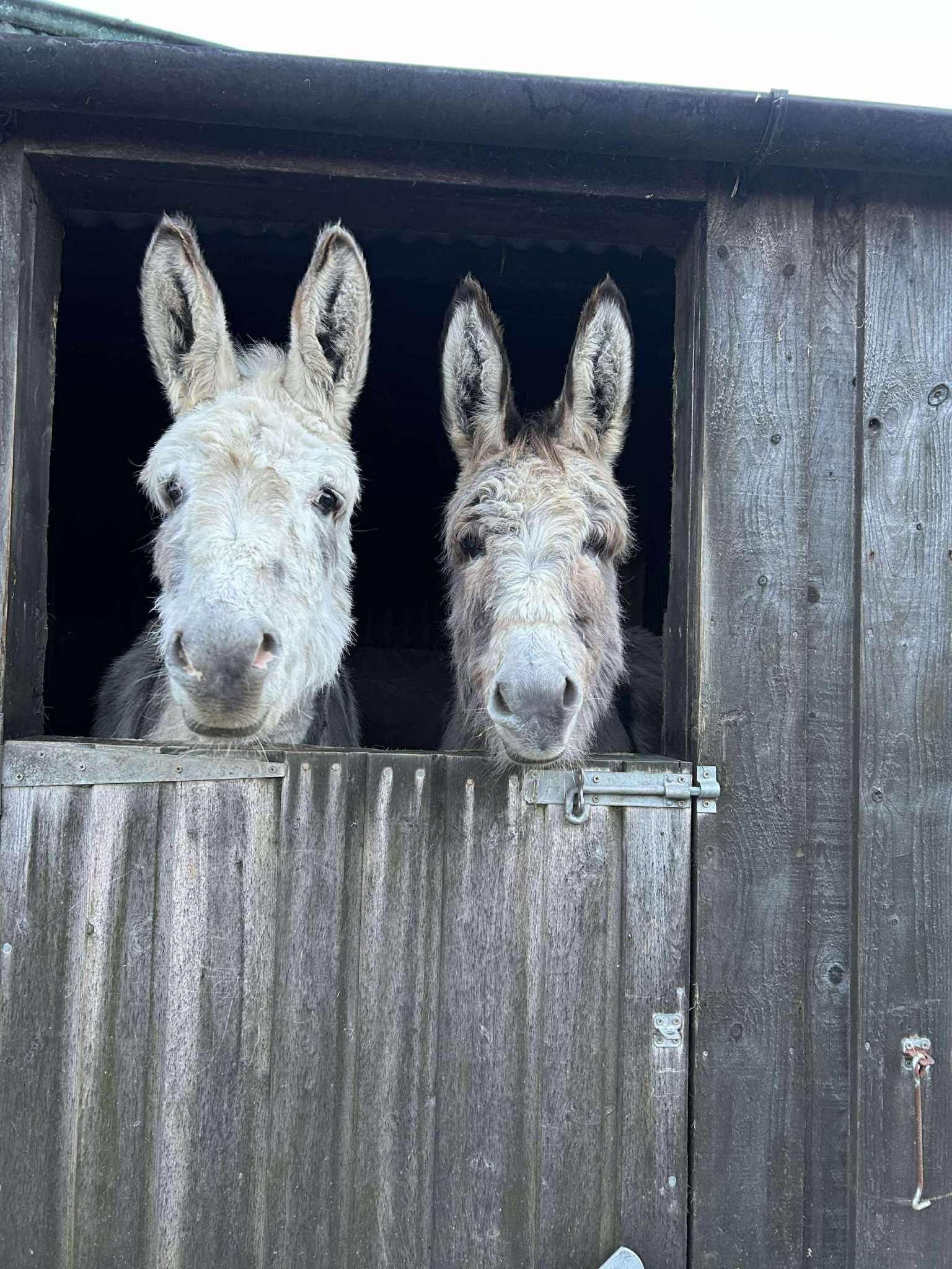 Rockwenna livery yard.