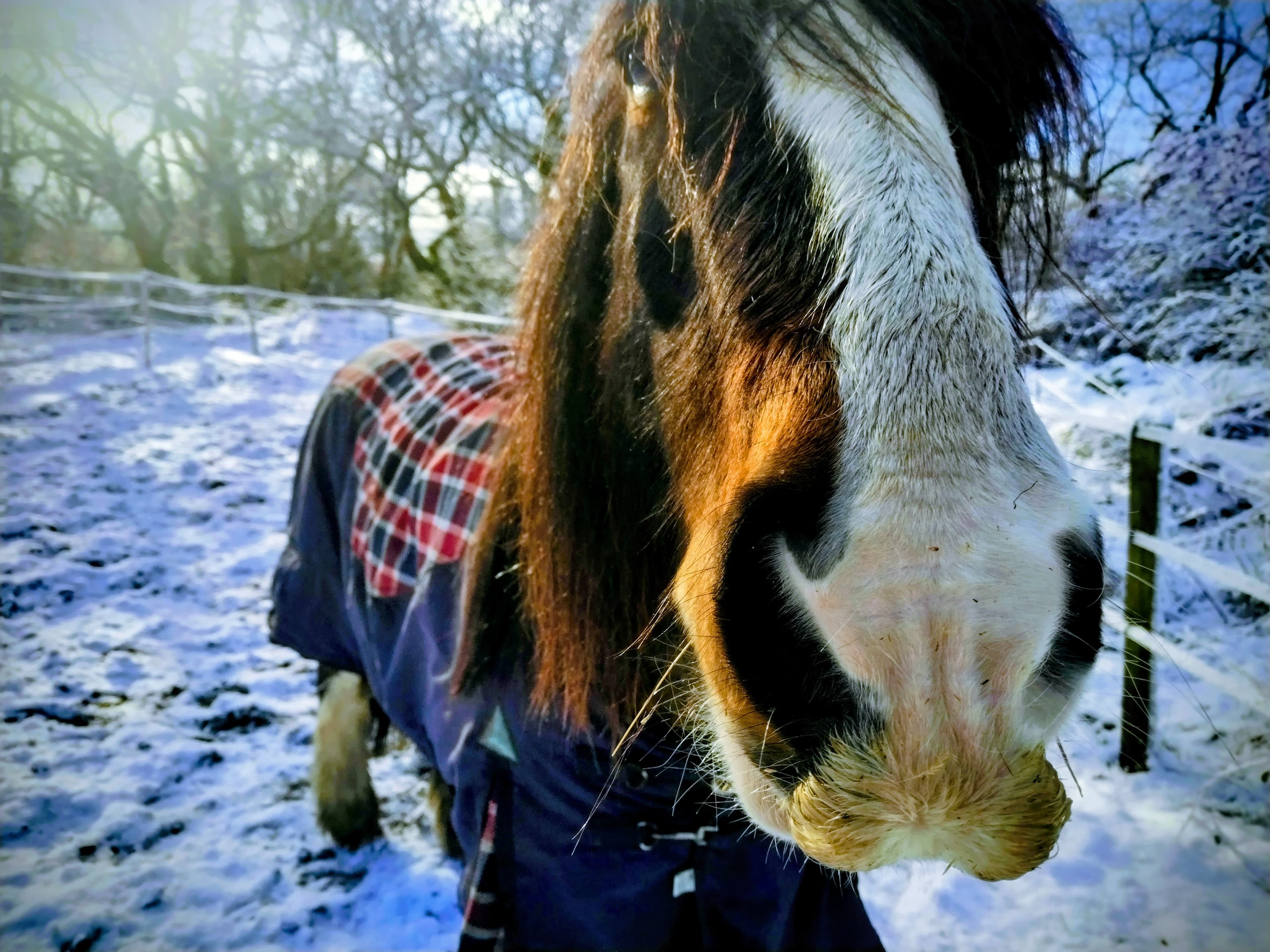 Little Stream Stables