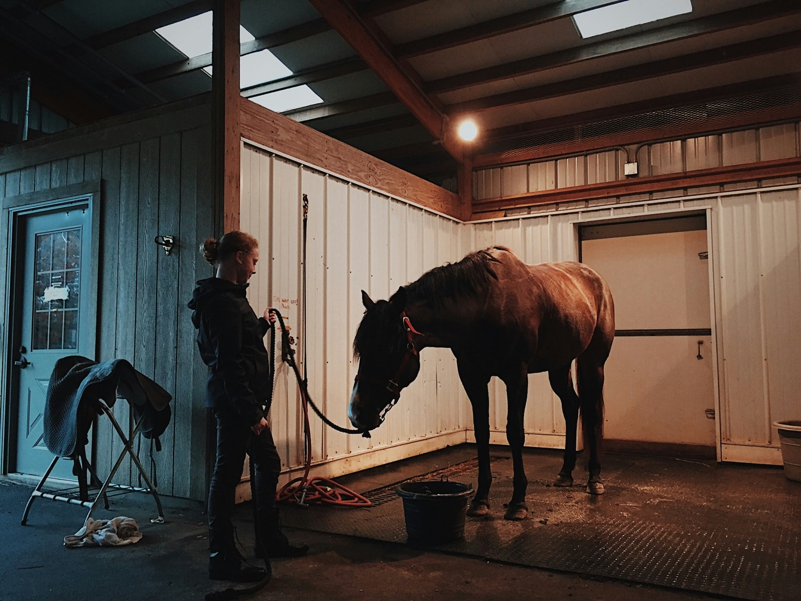 A handler leading a bay horse into the wash bay of a softly-lit indoor barn, saddle stand at the side — the kind of routine a trusted service provider sits inside.