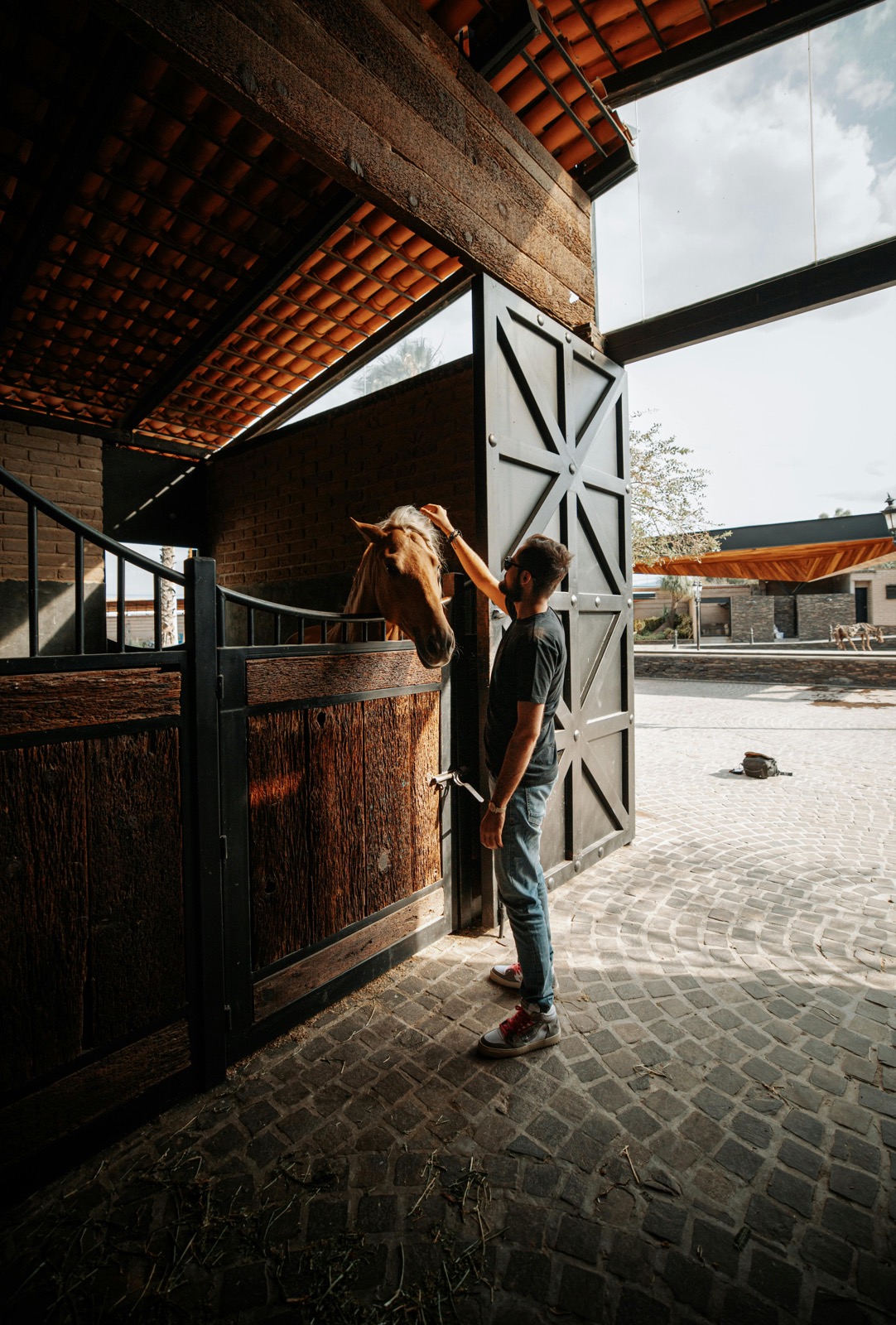A handler in front of an open stable door, hand raised to a bay horse — the trusted routine the marketplace makes findable.