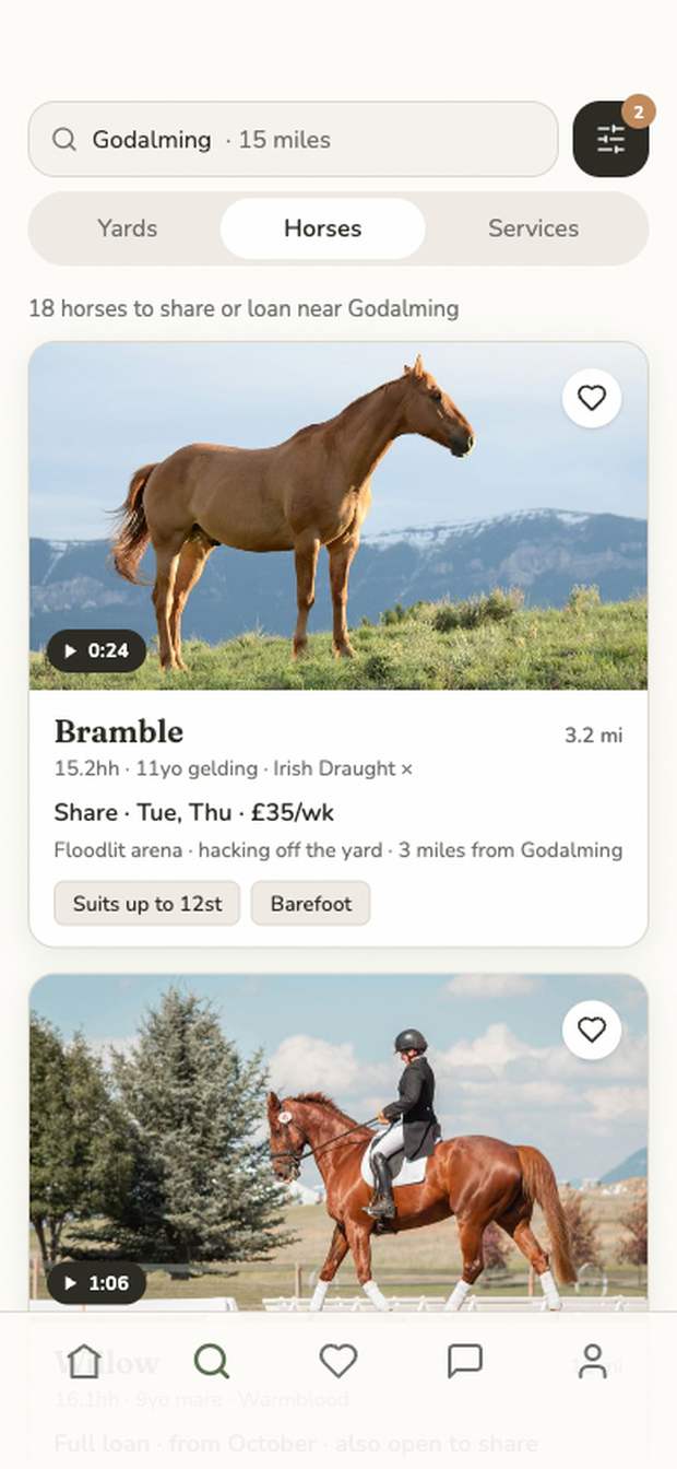 The designed horses search: eighteen horses to share or loan near Godalming, the first a share on Tuesdays and Thursdays at thirty-five pounds a week